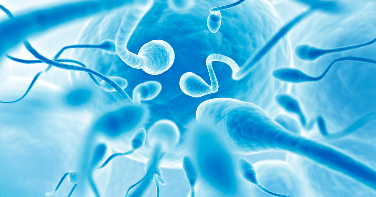 Fecundación In Vitro Vs. ICSI ¿Cómo nos ayudan a lograr el embarazo y cuáles son sus diferencias?